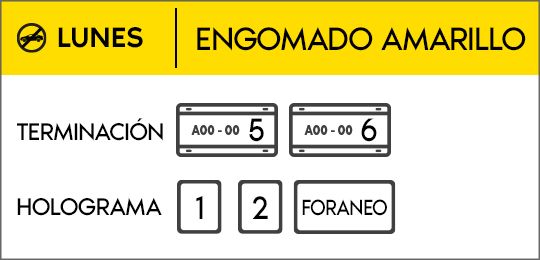 Hoy no circula Domingo
