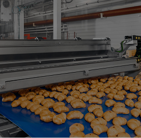 bg nuestros productos grid07