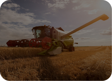 bg nuestros servicios 9